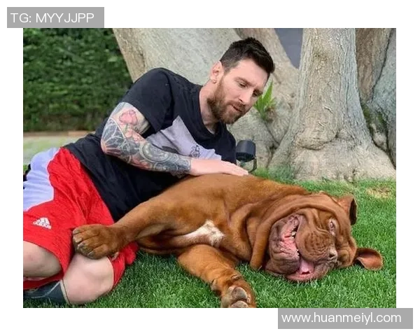 狗狗足球球星与爱犬互动瞬间 趣味对决和默契配合大公开